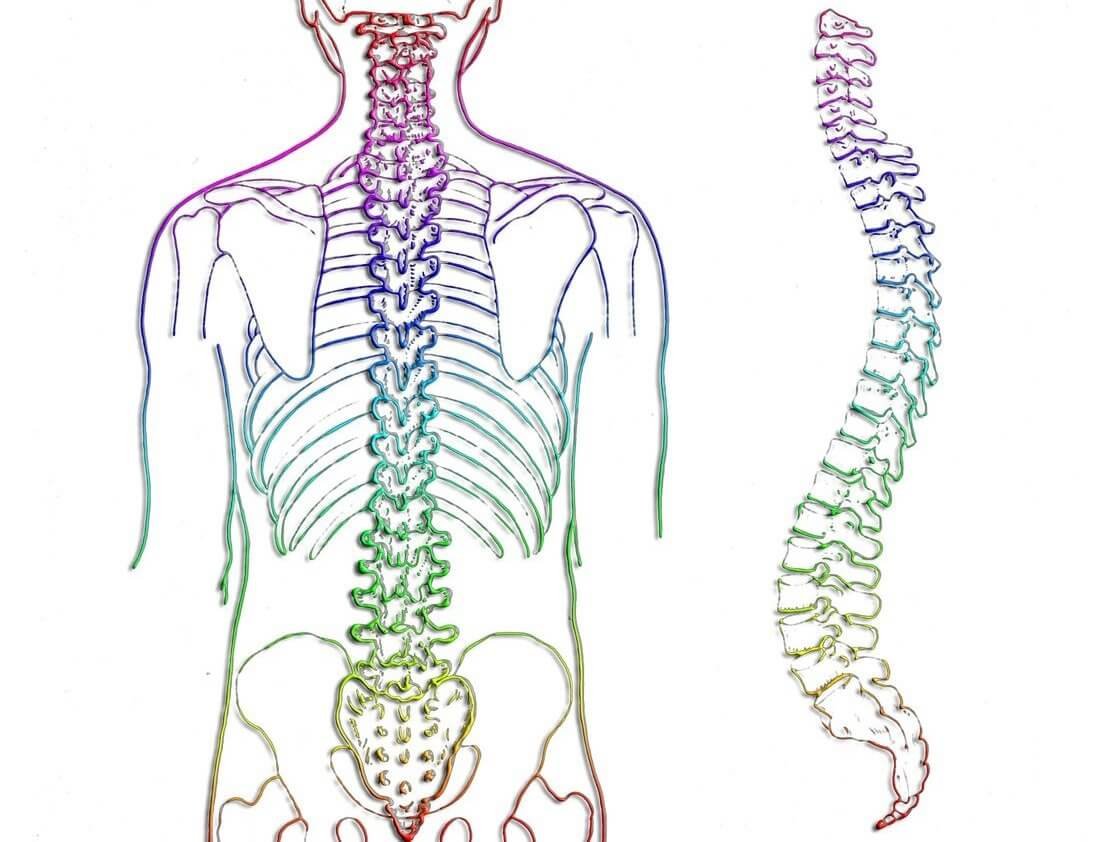 Read more about the article Chiropractic Care